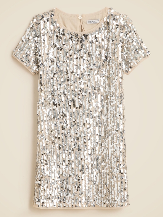 J. Crew Other - NWT J. Crew Girls Short Sleeve Silver Sequins Shift Dress, Size 5